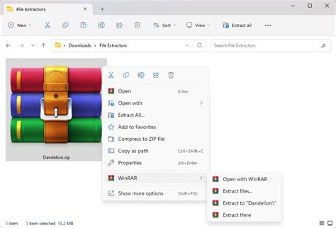 RAR Extraction File 的图像结果