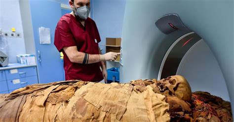 CT scan will reveal Egyptian mummy's secrets | The National