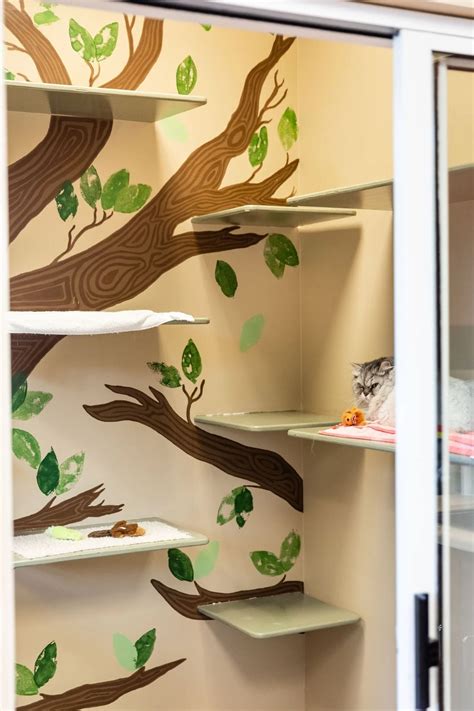 Boarding Tour | Powers Ferry Animal Hospital