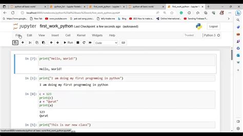 Python Flask Tutorial for Beginner in Jupyter Notebook 的图像结果