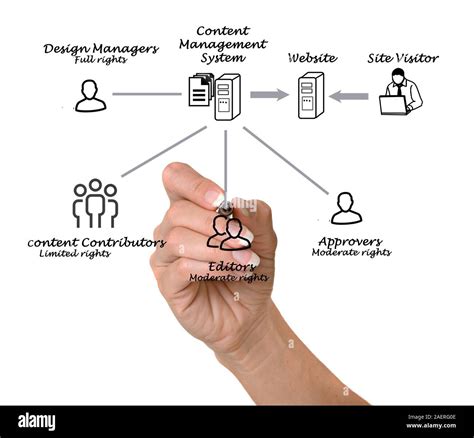 Content Management System 的图像结果