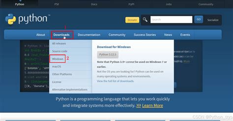 Python Coder Download 的图像结果