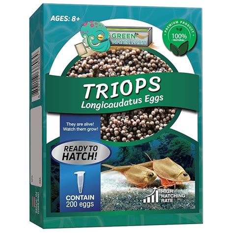 Buy GREEN WATER FARM Triops Longicaudatus Eggs for Hatching and Culture ...