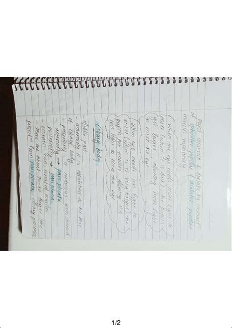 Pupil Function and Muscles: Anatomy and Physiology Notes - Studocu