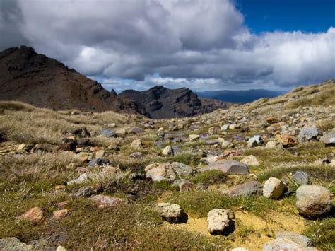 4 Best Auckland Hobbiton Tours - Hellotickets