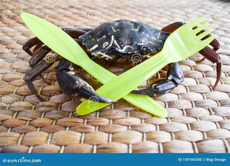 Fun Crab is Holding Fork and Knife in Clamps Stock Photo - Image of ...