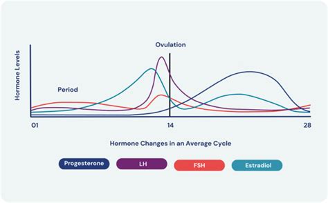 Image result for Fertility Panel Test