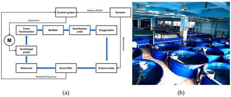 Design of an Intelligent Variable-Flow Recirculating Aquaculture System ...
