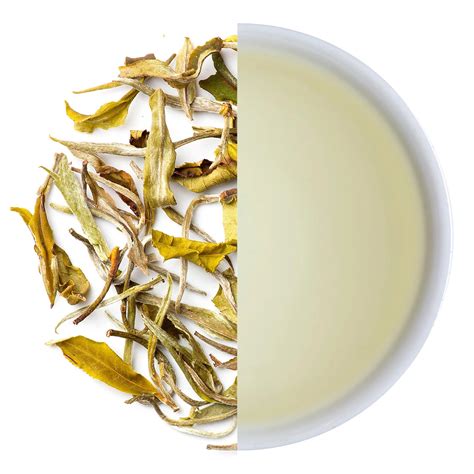 Buy Authentic Darjeeling Tea Online in India | Mayukh Tea