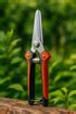 Pruning shears with Straight Jaw – Sunantha Organic Farms