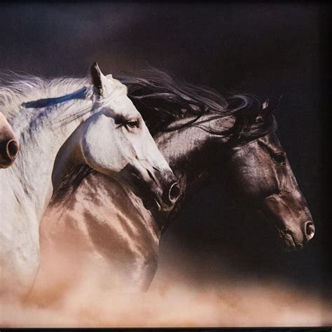 Buy Corsica Aura Horses Picture Frame - 50x30cm from Corsica by Home ...