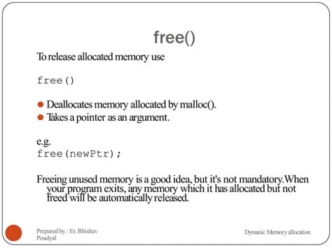 Dynamic Memory Allocation C Programming 的图像结果