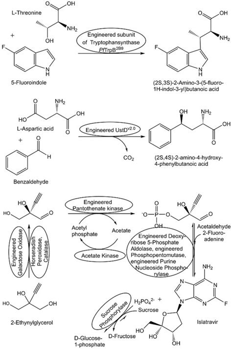 Synthesis of Metabolites and Metabolite-like Compounds Using ...