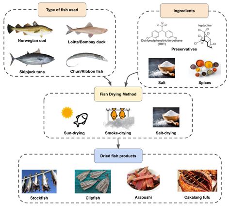 Foods | Free Full-Text | A Comprehensive Review on the Processing of ...