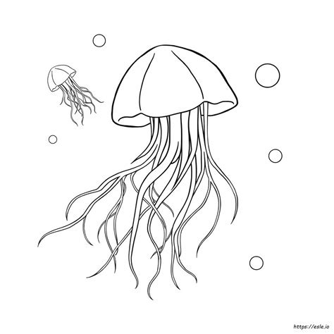 Simple Jellyfish Coloring Page