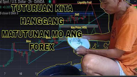 Image result for Forex Trading Tutorials for Beginners