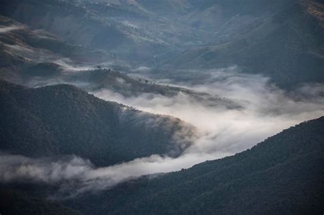 Beautiful Morning View 的图像结果