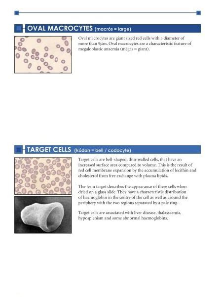 Image result for Target Cells