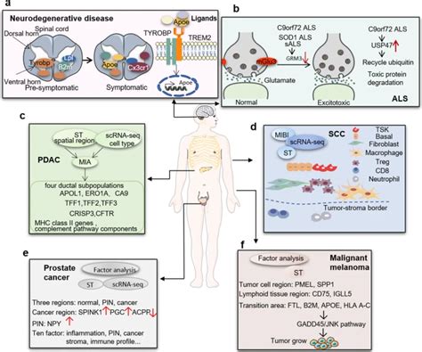 Image result for Spatial Transcriptomics Methods