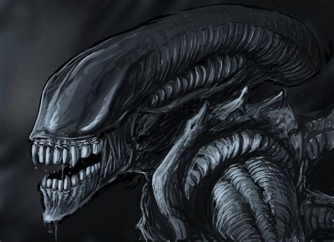 Image result for Alien Movie Xenomorph