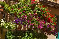 fiori in terrazzo come arredare il balcone con i fiori non sprecare fiori in terrazzo come arredare il balcone con i fiori non sprecare