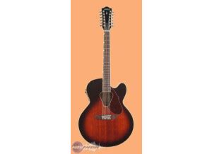 Image result for Gretsch G3700 12 String