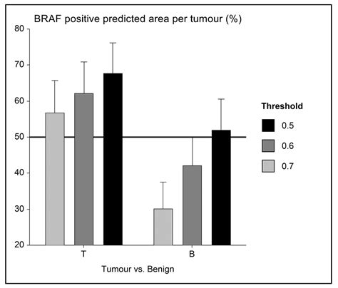 Canine Braf Mutation Test at Madeleine Frayne blog
