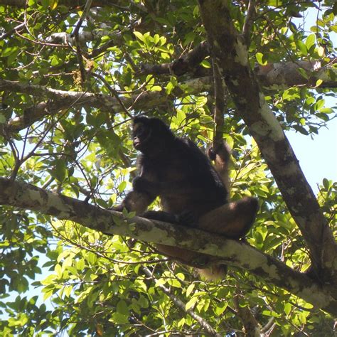 TURISMO EN CONEXIÓN (2025) All You Need to Know BEFORE You Go (with ...