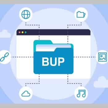 Image result for Bup File Player