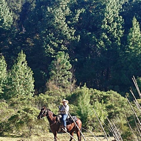 Caballos Huasca Tours (Huasca de Ocampo) - All You Need to Know BEFORE ...