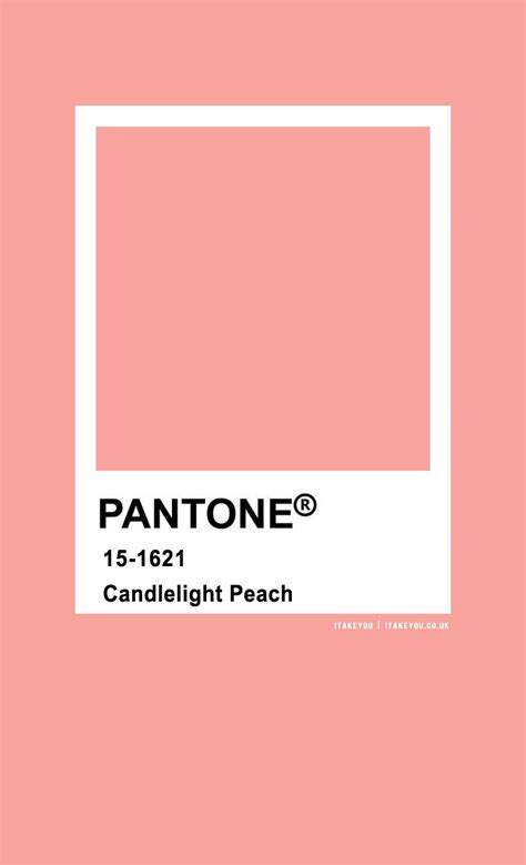 Pantone Peach Blush Pantone Colour Palettes, Pantone Color,, 42% OFF