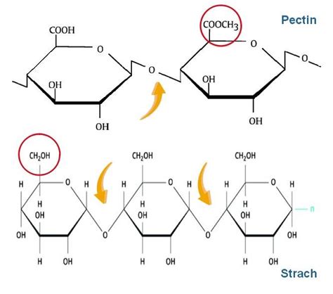Image result for Pectin Structure