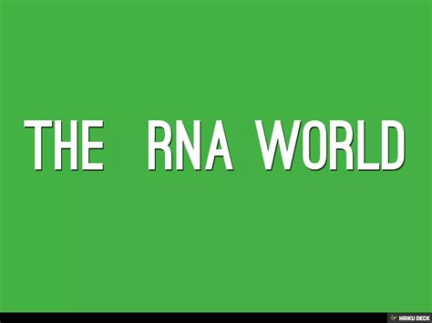 RNA World Explained 的图像结果