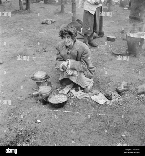 An emaciated woman inmate cooks a meal in the open air at Bergen-Belsen ...