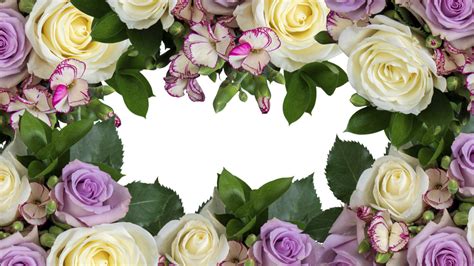 Image result for Memory Usage PNG