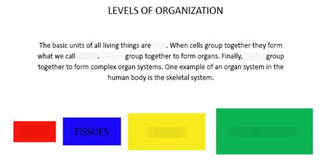 Levels of Cell Organization Diagram | Quizlet