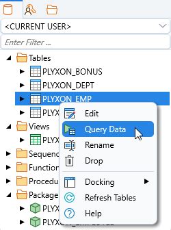 Image result for Plyxon PL/SQL