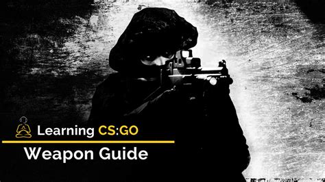 CS GO Learning 的图像结果