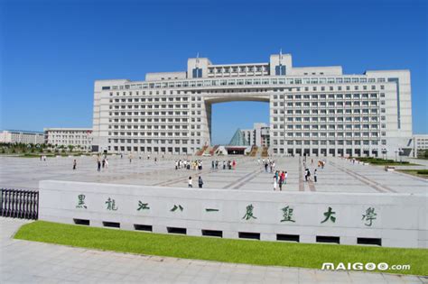 2023大庆专科学校有哪些？大庆所有专科学校名单一览表（2所）_大学生必备网