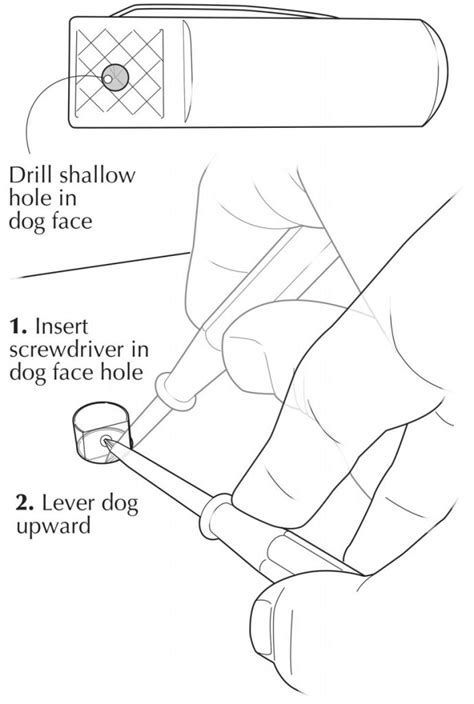 Image result for How to Use Bench Dogs