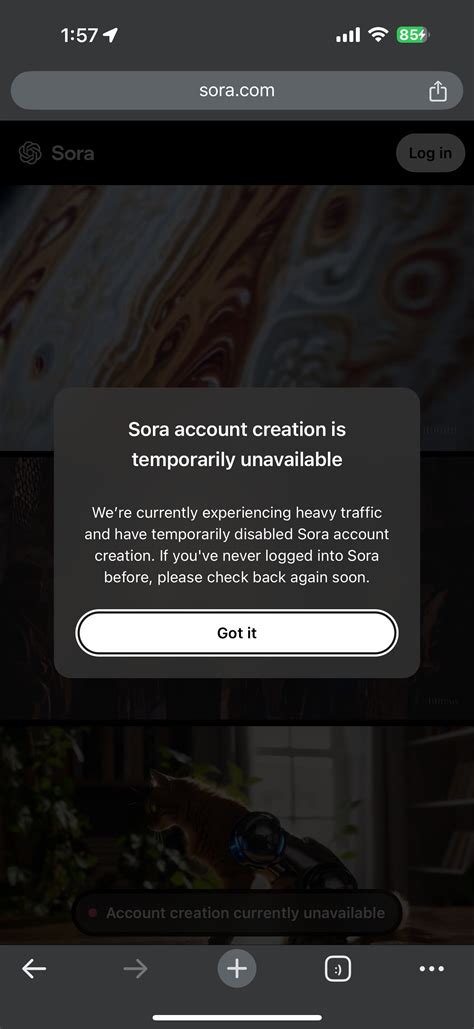 Pro $200/month Users Can’t Access Sora? - ChatGPT - OpenAI Developer ...