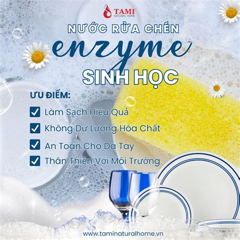 GIA CÔNG NƯỚC RỬA CHÉN CÔNG NGHỆ ENZYME - Tami Natural