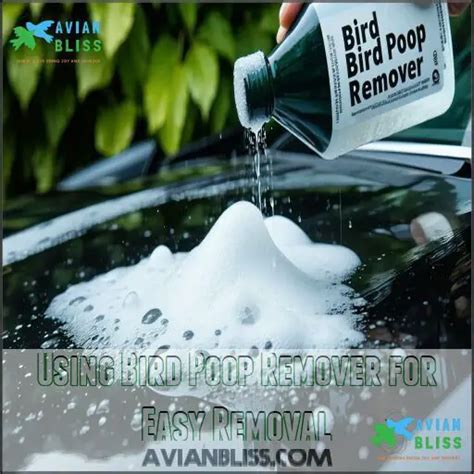 Image result for Bird Poop Removal