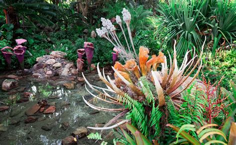 Avatar Tree 的图像结果