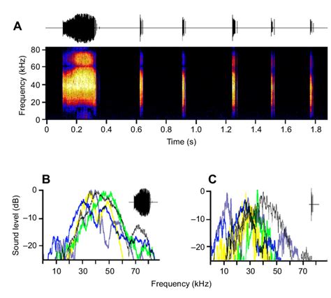 Reading Sound Spectrogram 的图像结果