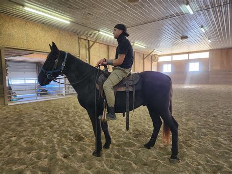 GASTON · Copper Horse Crusade