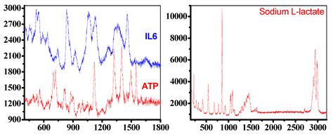 Waveguiding and SERS Simplified Raman Spectroscopy on Biological Samples