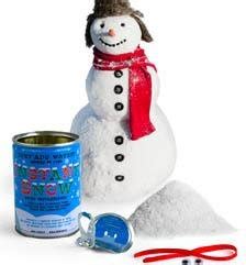 Kikkerland Instant Snow in a Can Powder : Amazon.in