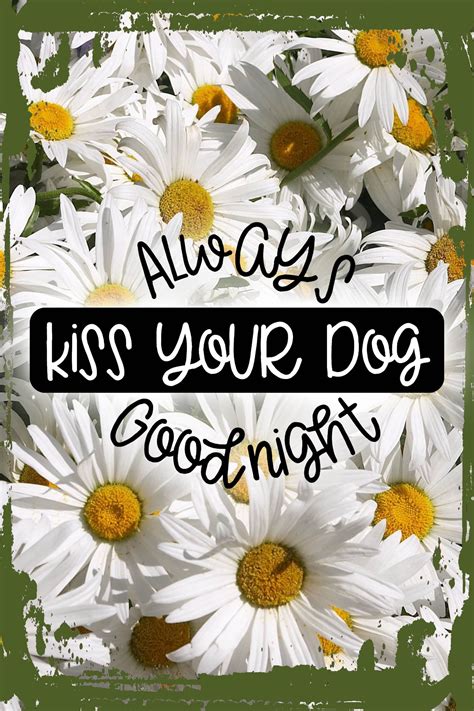 Daisy Flower Wall Art Always kiss your dog goodnight cursive love ...
