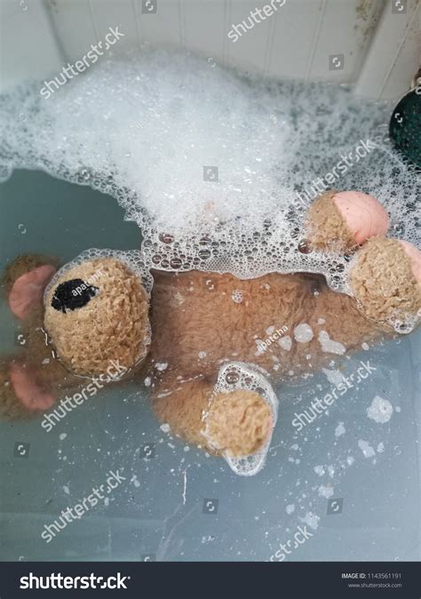 Image result for Bear Washing Machine Prank